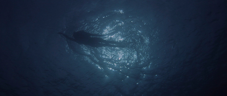 Aquatic__222_.jpg