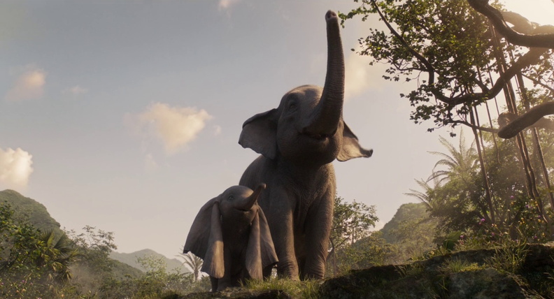Dumbo_061.jpg